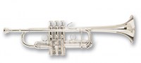 c180sl229cc