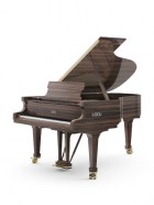 piano-f198-macassar